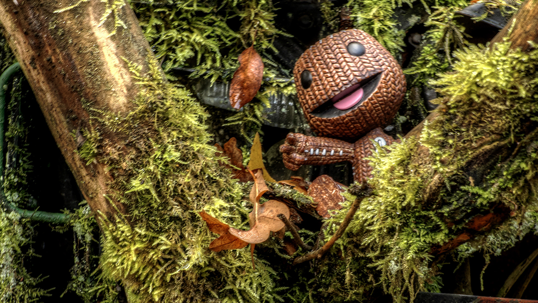 Camouflage Sackboys